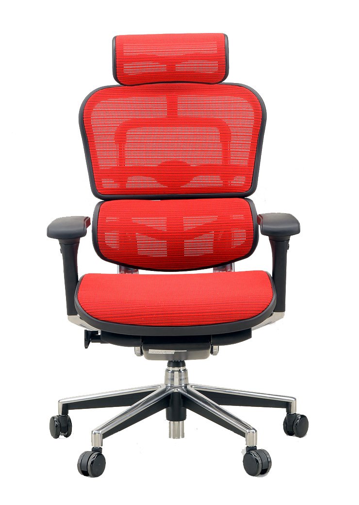 Amazon.co.jp: メーカー組立完成品 エルゴヒューマン ベーシック